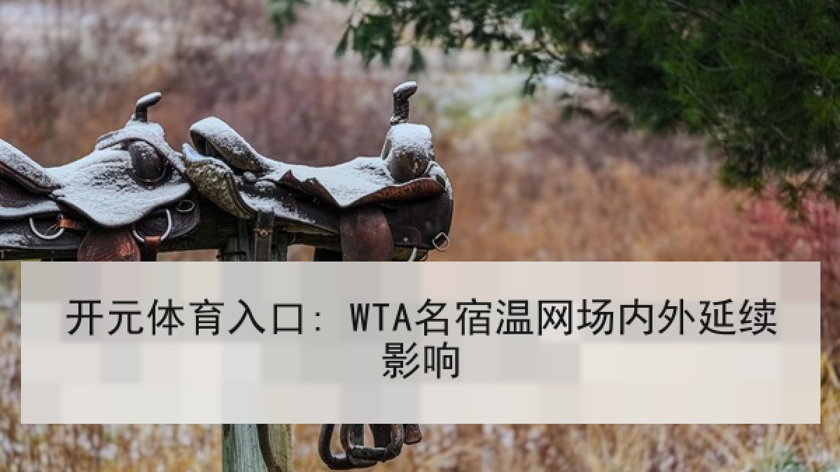 开元体育入口: WTA名宿温网场内外延续影响 开元体育入口: WTA名宿温网场内外延续影响